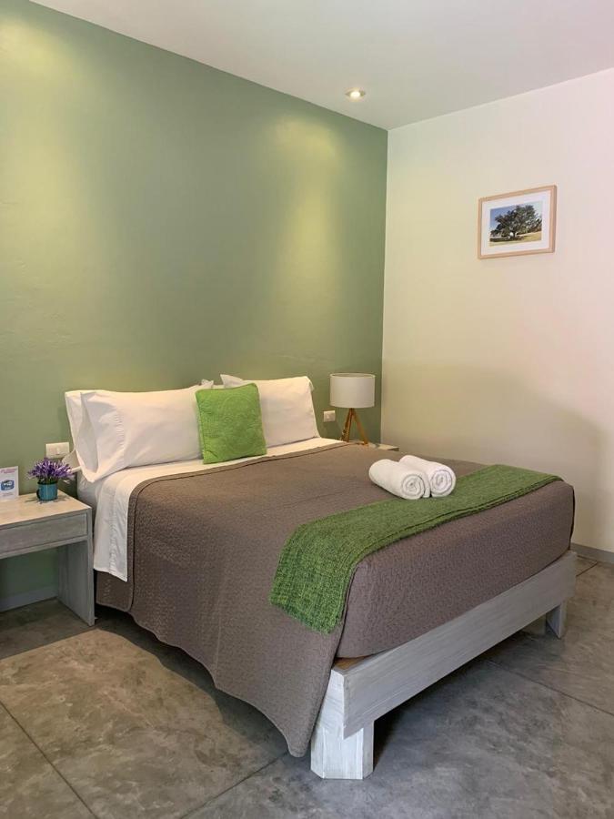 Oaxaca La Betulia Bed And Breakfast المظهر الخارجي الصورة