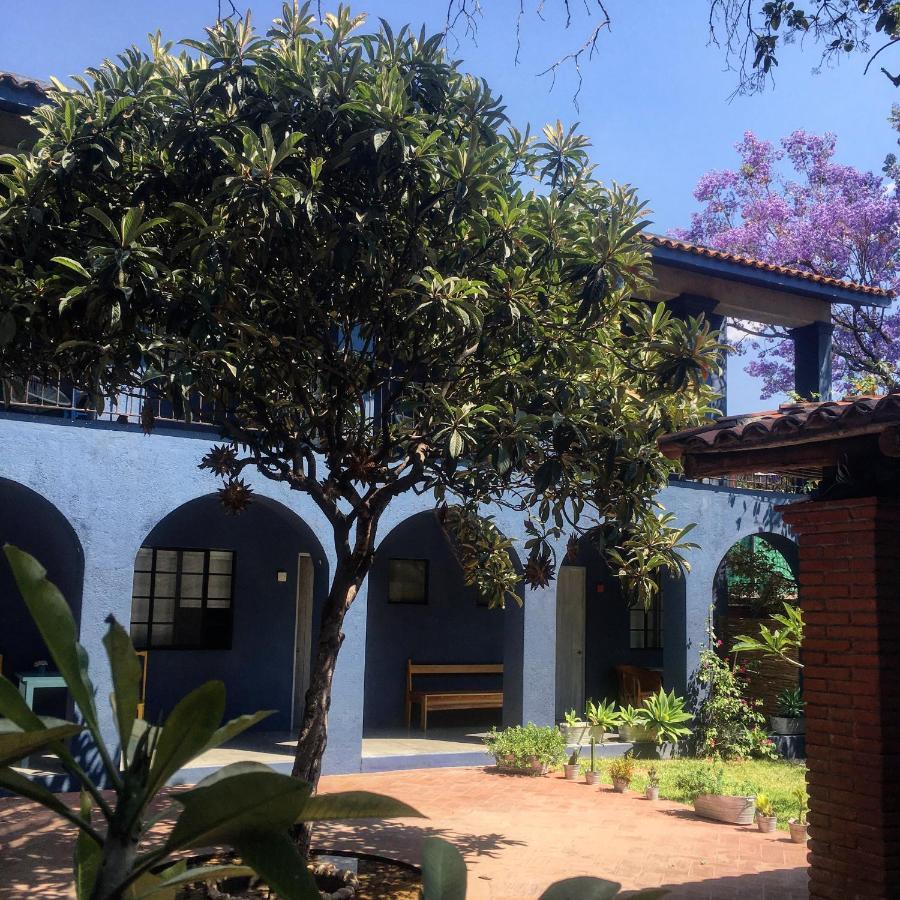 Oaxaca La Betulia Bed And Breakfast المظهر الخارجي الصورة