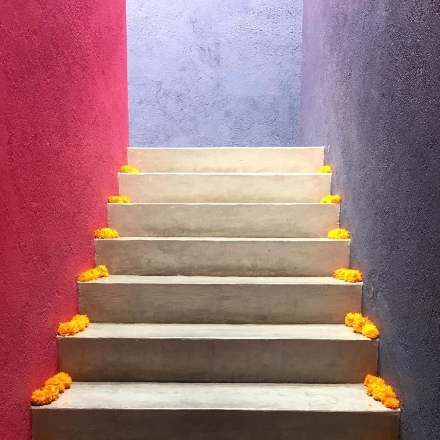 Oaxaca La Betulia Bed And Breakfast المظهر الخارجي الصورة