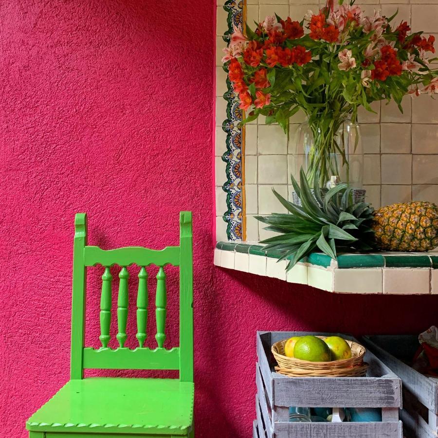 Oaxaca La Betulia Bed And Breakfast المظهر الخارجي الصورة