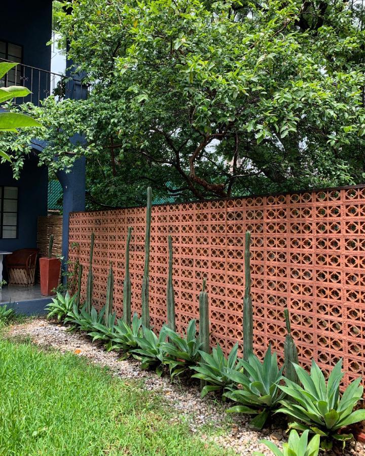 Oaxaca La Betulia Bed And Breakfast المظهر الخارجي الصورة