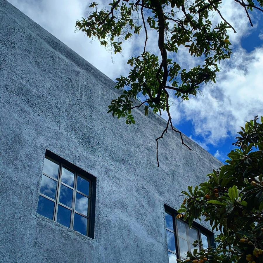Oaxaca La Betulia Bed And Breakfast المظهر الخارجي الصورة